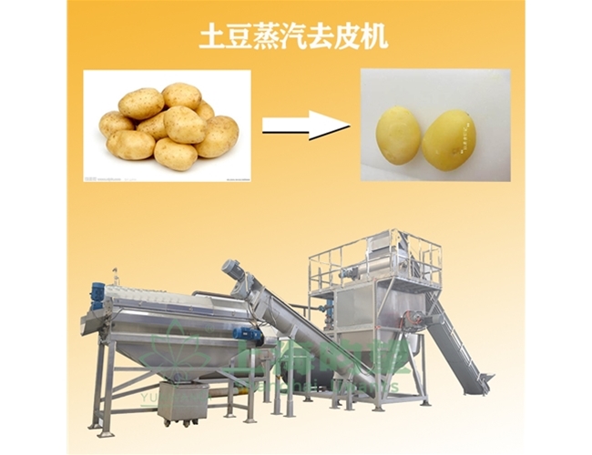 土豆蒸汽去皮机